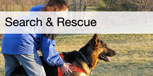 Search and Rescue