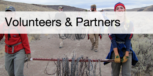 Volunteers and Partners