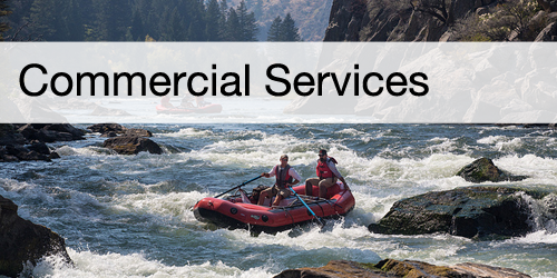 Commercial Services