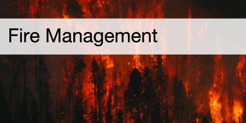 Fire Management