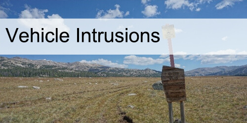 Vehicle Intrusions