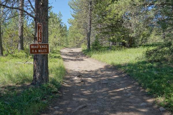 dirt road in a forest environment with a road closed 0.6 miles on a tree